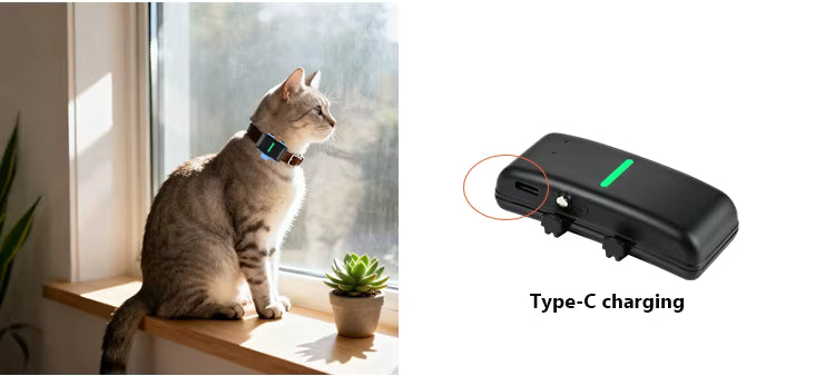 New Tech Dual-Frequency 4g Real Tracking Smart Locator Dog Tracker Wifi Gps Pet Tracker With Sports Monitoring