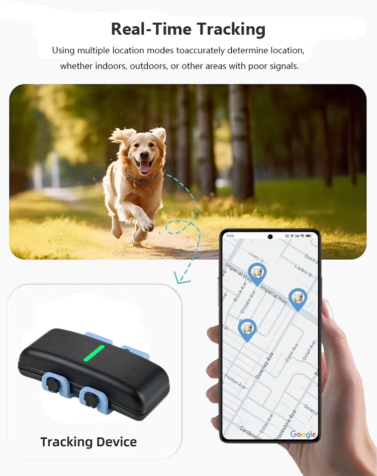 New Tech Dual-Frequency 4g Real Tracking Smart Locator Dog Tracker Wifi Gps Pet Tracker With Sports Monitoring