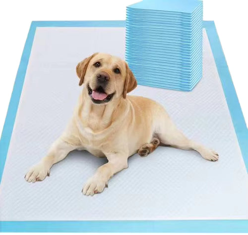 Hot Selling New Pet Dog Puppy Training Pads Waterproof Disposable Fiber Pee Pads in Various