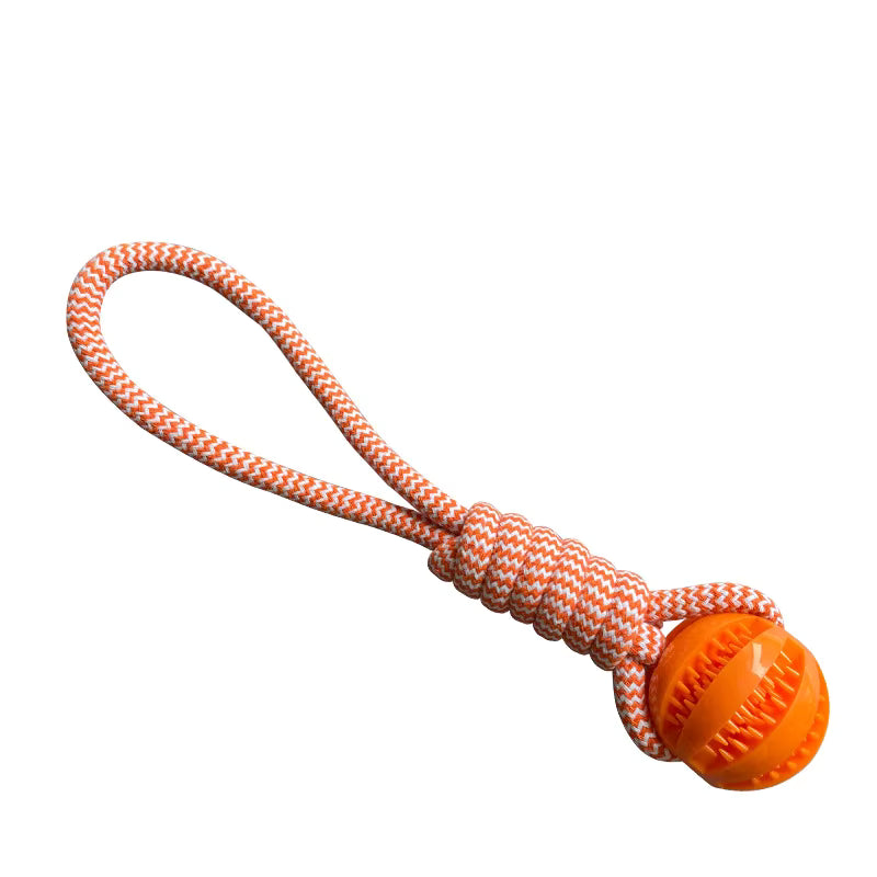Bite Resistant Dog Rope TPR Toy Pet Interactive Knot Design Dog Chew Rope Teething Toy Pet Cotton Rope